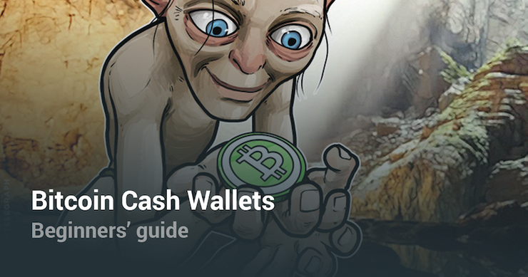 Bitcoin Cash Wallets Beginners Guide - 